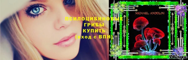 бутират Снежинск